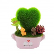 Home Decorative Love Sweet Couple Pot Decor Special Gift